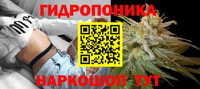 прущие грибы Малгобек