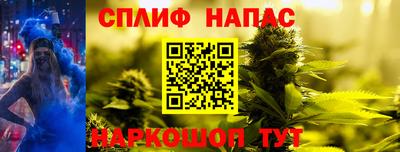 мяу мяу мука Малоярославец