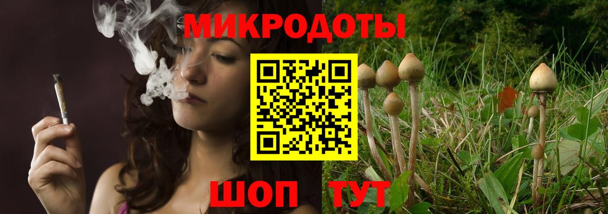 Галлюциногенные грибы Psilocybine cubensis  сколько стоит  Вход с VPN  Екатеринбург  Псилоцибиновые грибы Psilocybine cubensis 